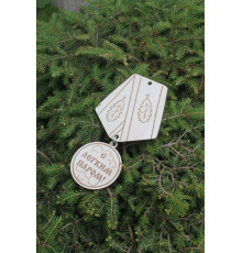 Медаль деревянная С легким паром